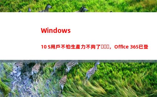 Windows 10 S用戶不怕生產力不夠了，Office 365已登陸Windows Store